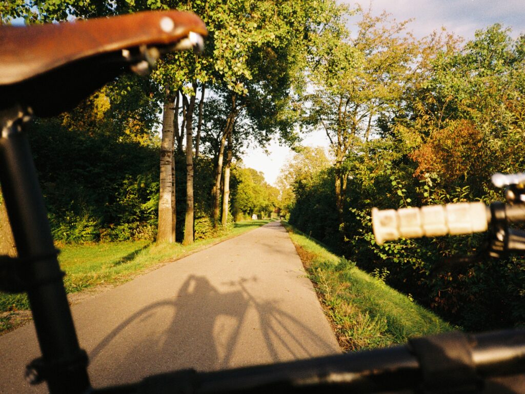 raddemo